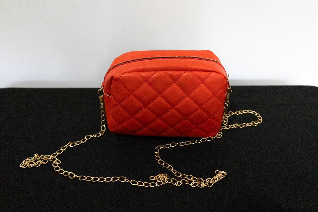 Scarlet Charm Mini Handbag